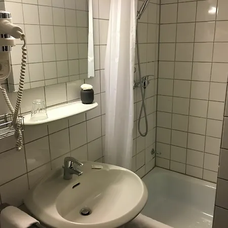 阿图姆莱茵酒店 4*