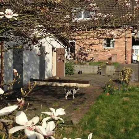 Mit Garten In アパート *