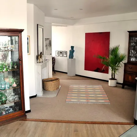公寓 Hansa Penthouse 科隆