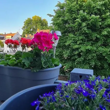 Hotel Cara Kolín nad Rýnem